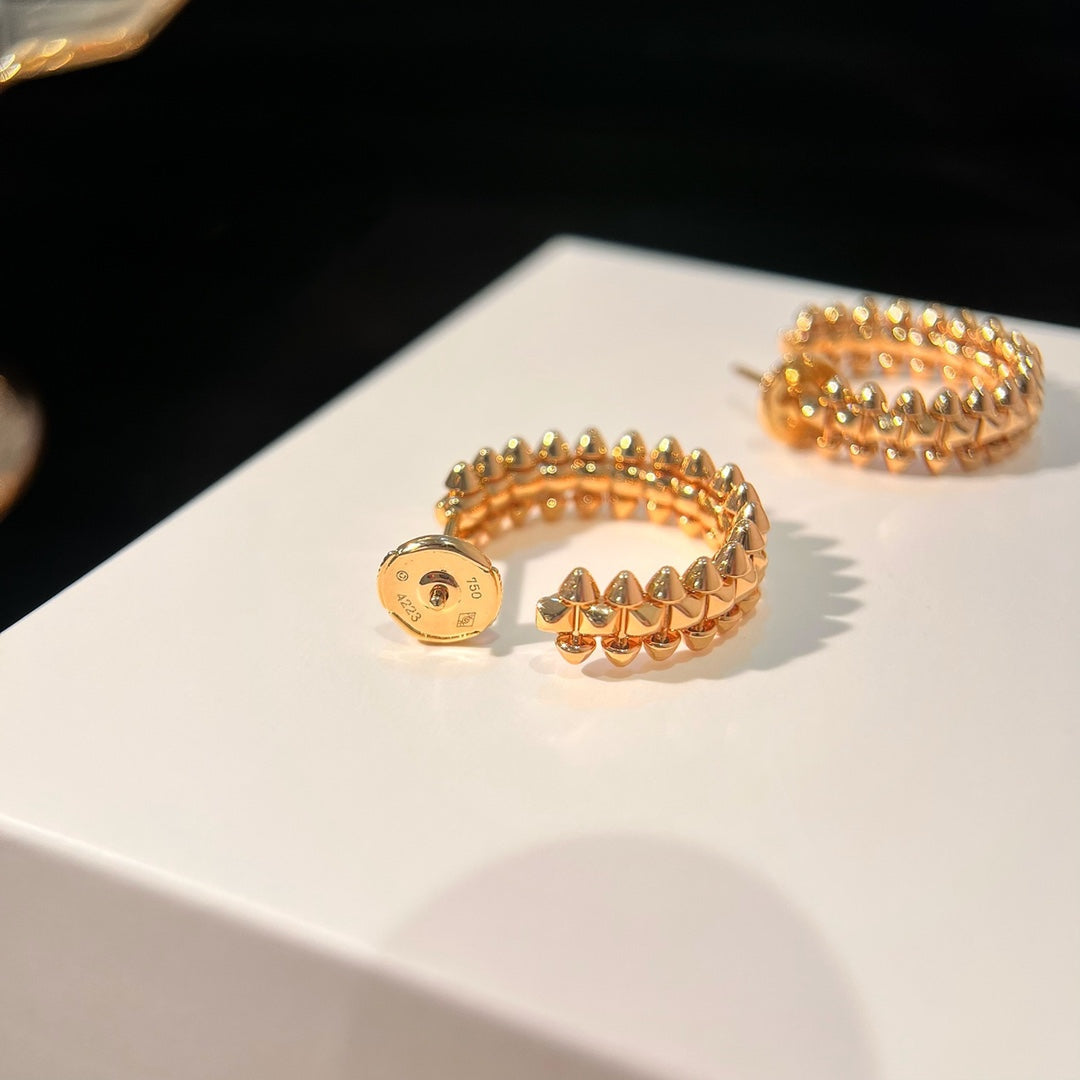[⭐Shinejoy]CLASH EARRINGS